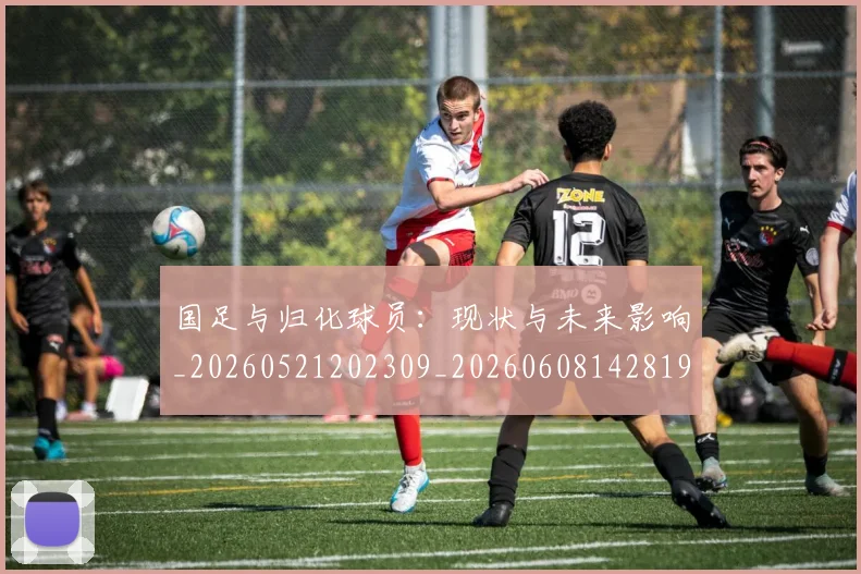 国足与归化球员：现状与未来影响_20260521202309_20260608142819