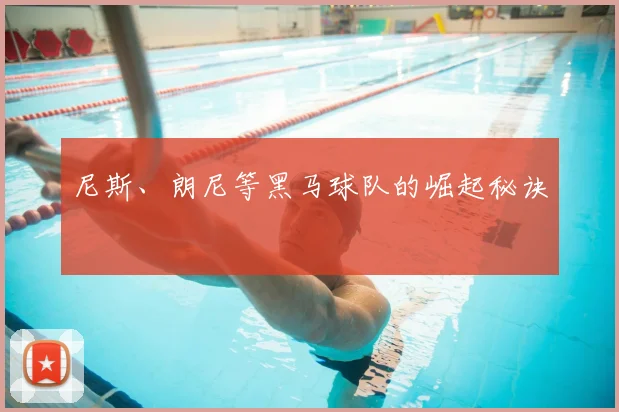 尼斯、朗尼等黑马球队的崛起秘诀