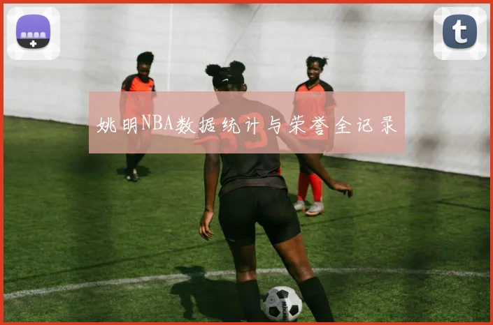 姚明NBA数据统计与荣誉全记录