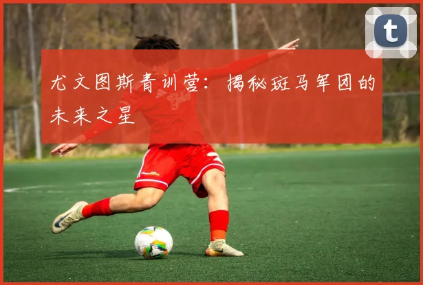 尤文图斯青训营：揭秘斑马军团的未来之星